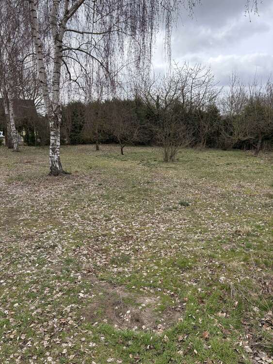 Thumbnail-Grundstück zu verkaufen in Lübben 162.500,00 € 1300 m²