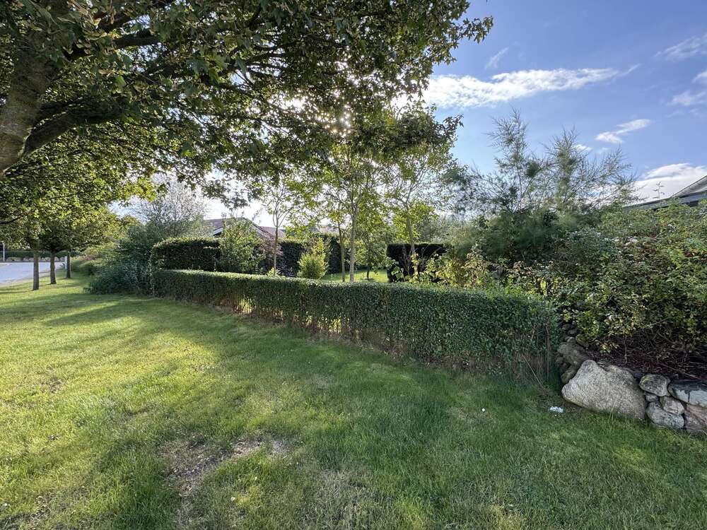 Thumbnail-Grundstück zu verkaufen in Wangels 129.000,00 € 308 m²