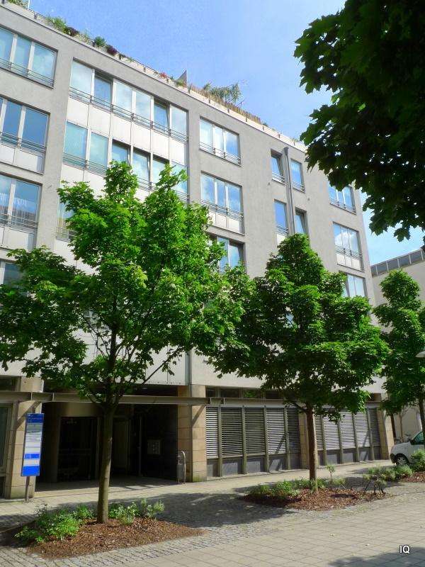 Thumbnail-Wohnung zum Mieten in Dresden 500,00 € 50 m²