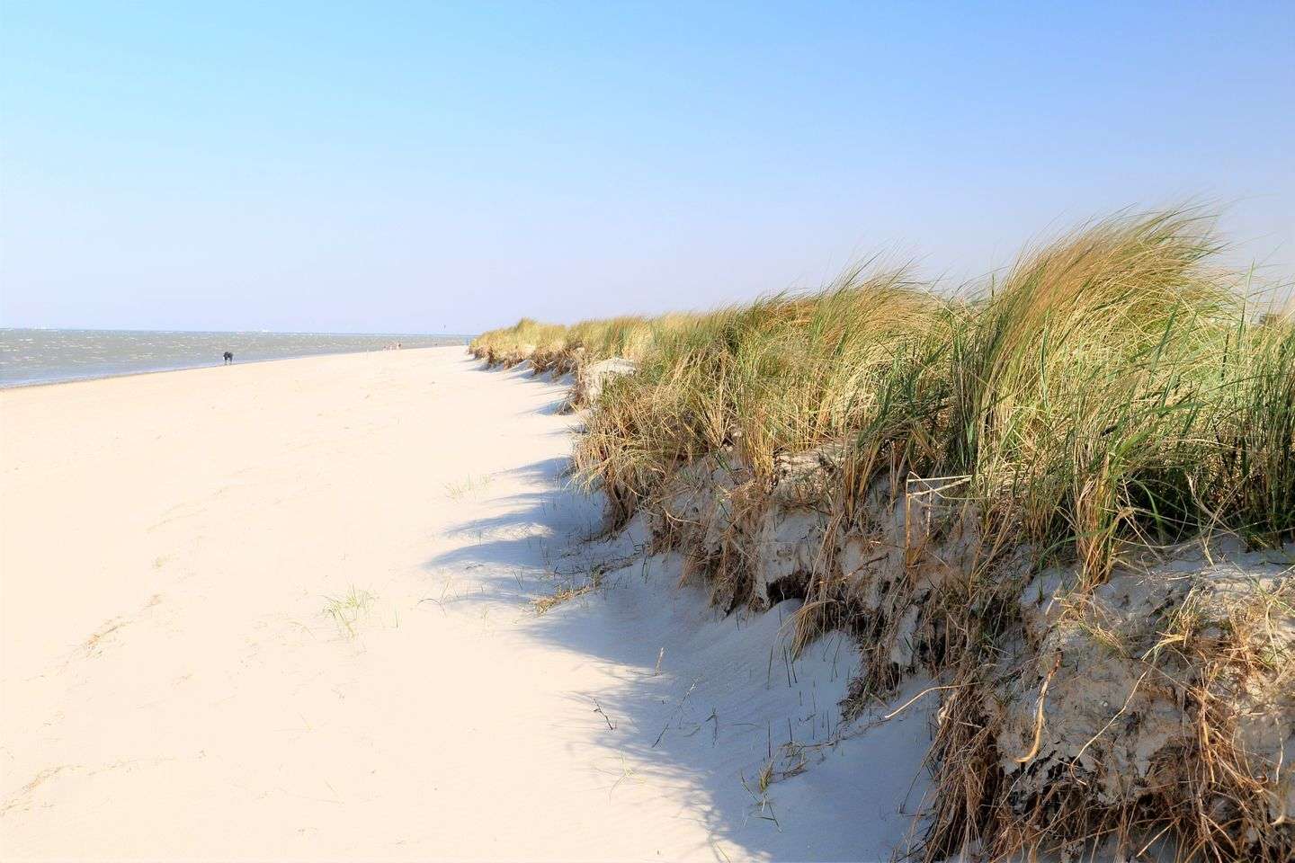 Thumbnail-Wohnung zum Kaufen in Wangerland 435.000,00 € 86.68 m²