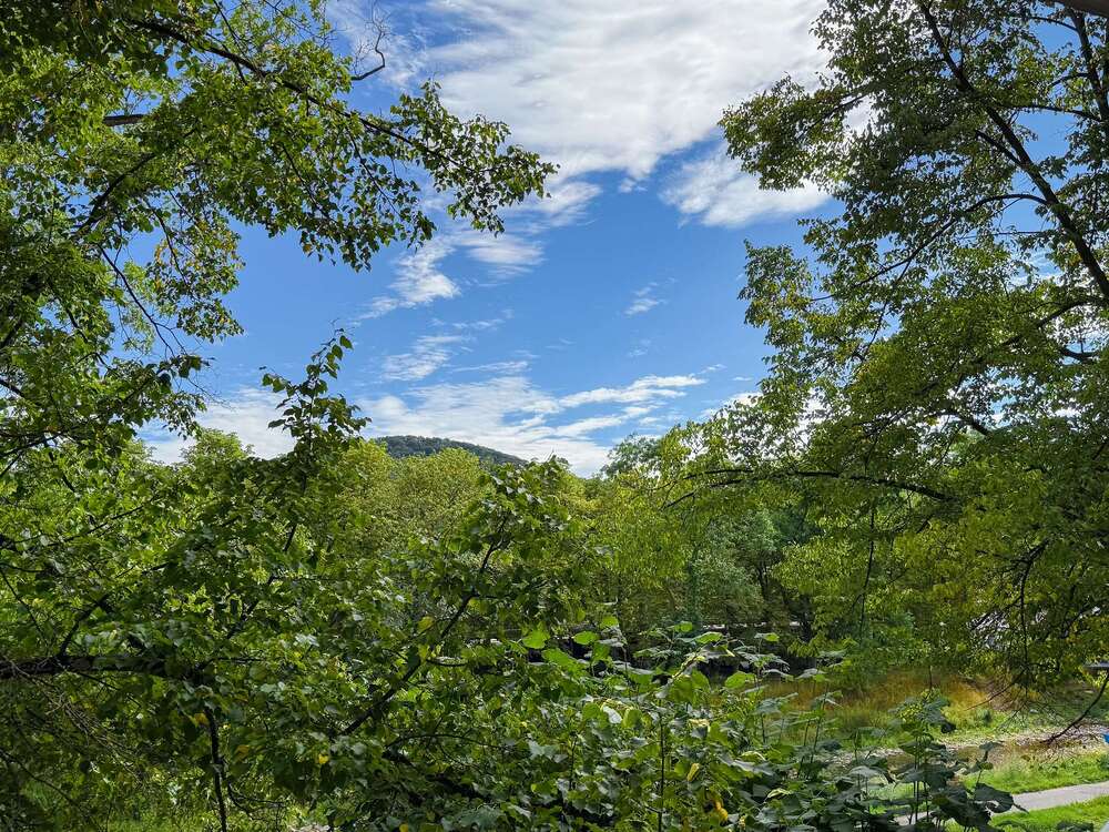 Thumbnail-Wohnung zum Kaufen in Bad Neuenahr-Ahrweiler 298.000,00 € 107 m²