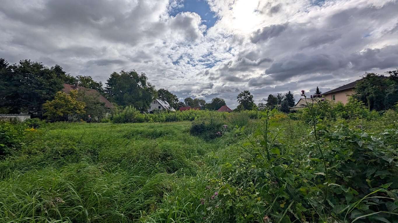 Thumbnail-Grundstück zu verkaufen in Berlin-Pankow 2.000.000,00 € 4061 m²