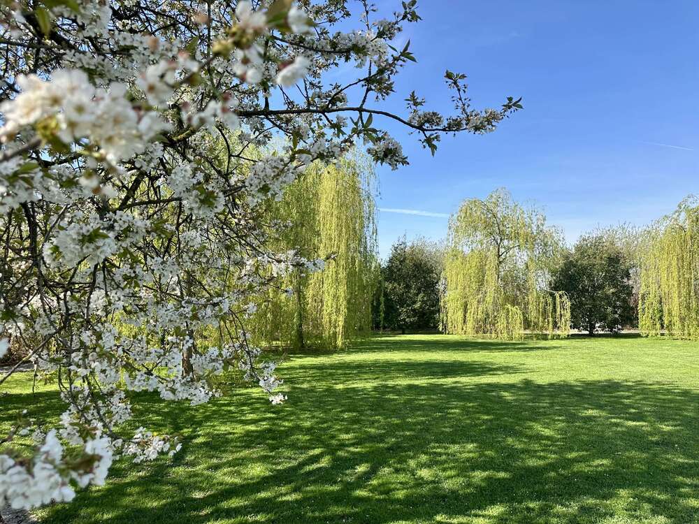 Thumbnail-Haus zum Kaufen in Salzkotten 2.990.000,00 € 338 m²