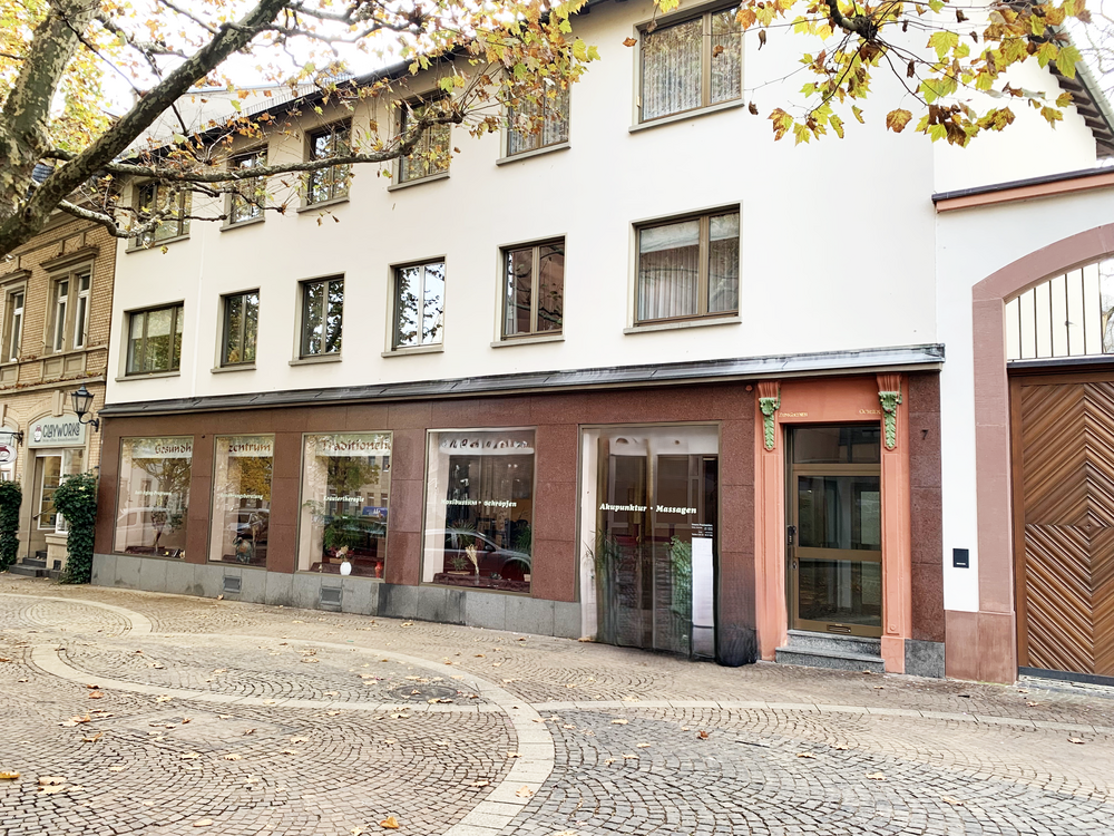 Thumbnail-Büro in Mainz 2.900,00 € 265 m²