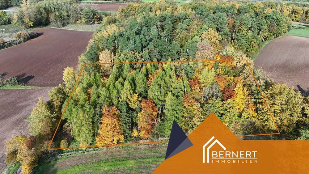 Thumbnail-Grundstück zu verkaufen in Marktzeuln 16.800,00 € 3936 m²