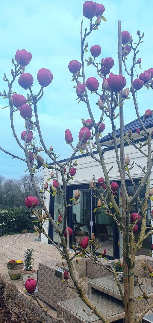 Thumbnail-Haus zum Kaufen in Moers 1.750.000,00 € 267 m²