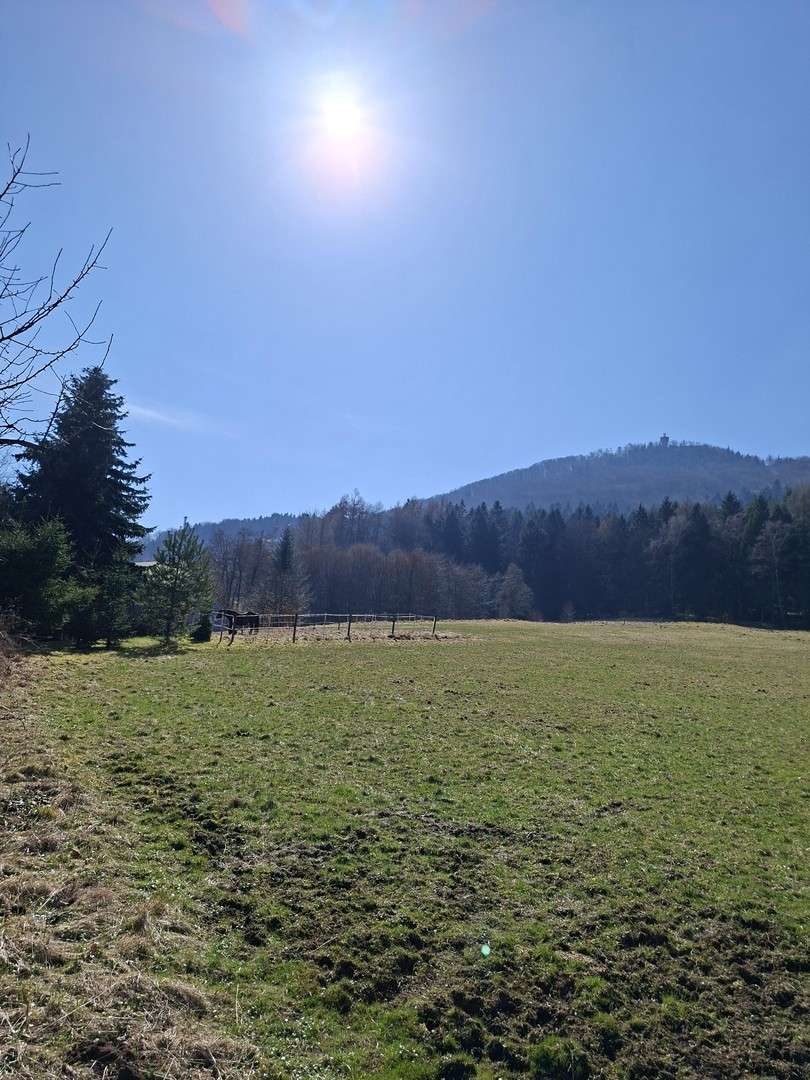 Thumbnail-Haus zum Kaufen in Waltersdorf 170.000,00 € 100 m²