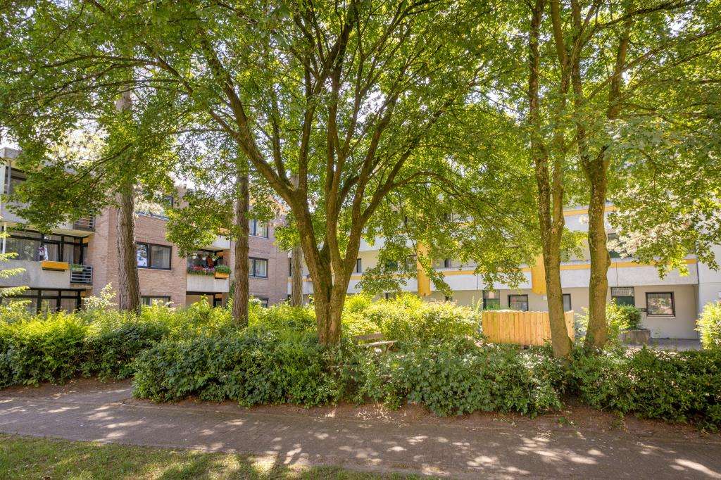 Thumbnail-Wohnung zum Mieten in Oldenburg 539,00 € 59.22 m²
