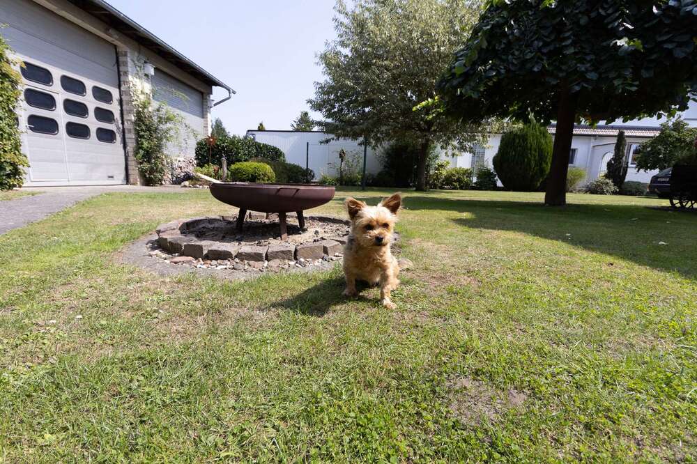 Thumbnail-Haus zum Kaufen in Diepenau Lavelsloh 444.000,00 € 206 m²