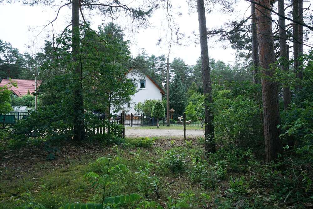 Thumbnail-Grundstück zu verkaufen in Borkwalde 249.000,00 € 1600 m²