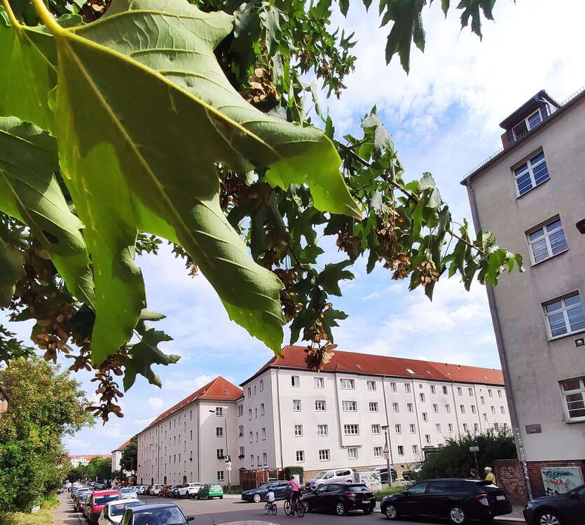 Thumbnail-Wohnung zum Kaufen in Leipzig 125.000,00 € 50.95 m²