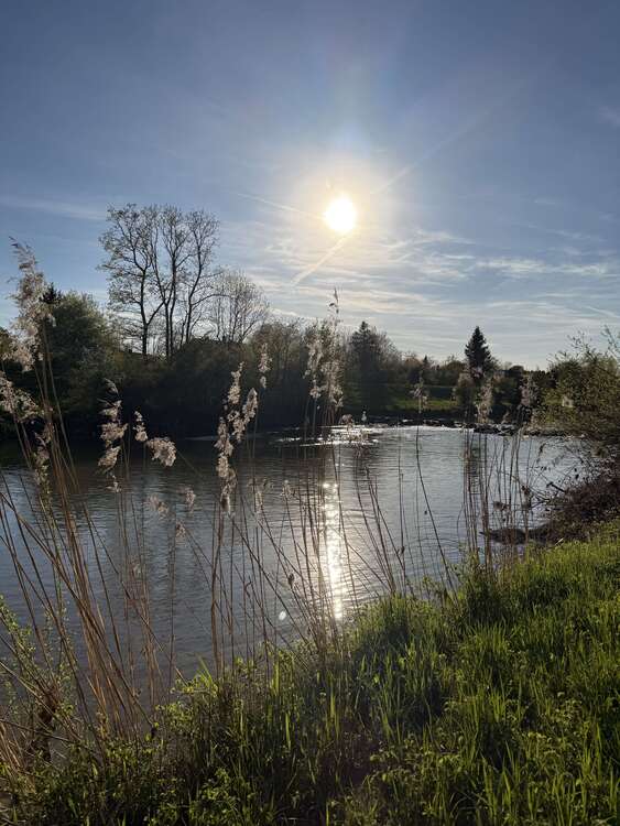 Thumbnail-Haus zum Kaufen in Bad Aibling 570.000,00 € 100 m²
