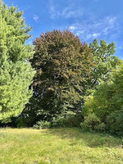 Thumbnail-Grundstück zu verkaufen in München 1.190.000,00 € 625 m²