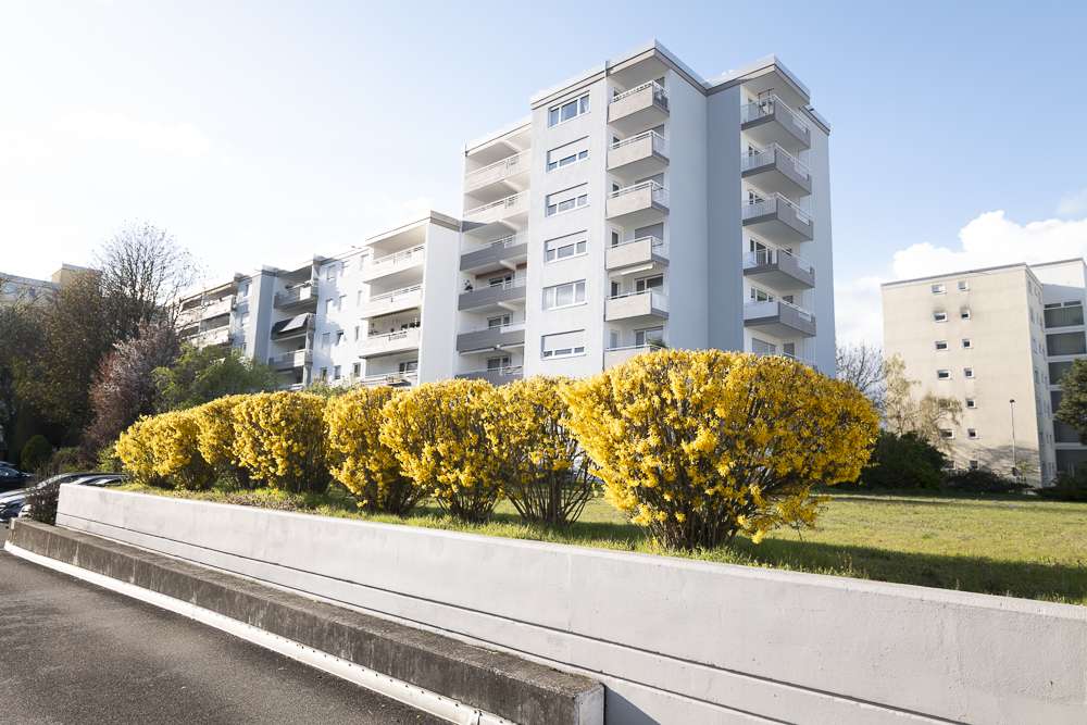 Thumbnail-Wohnung zum Kaufen in Neu-Isenburg 240.000,00 € 60 m²