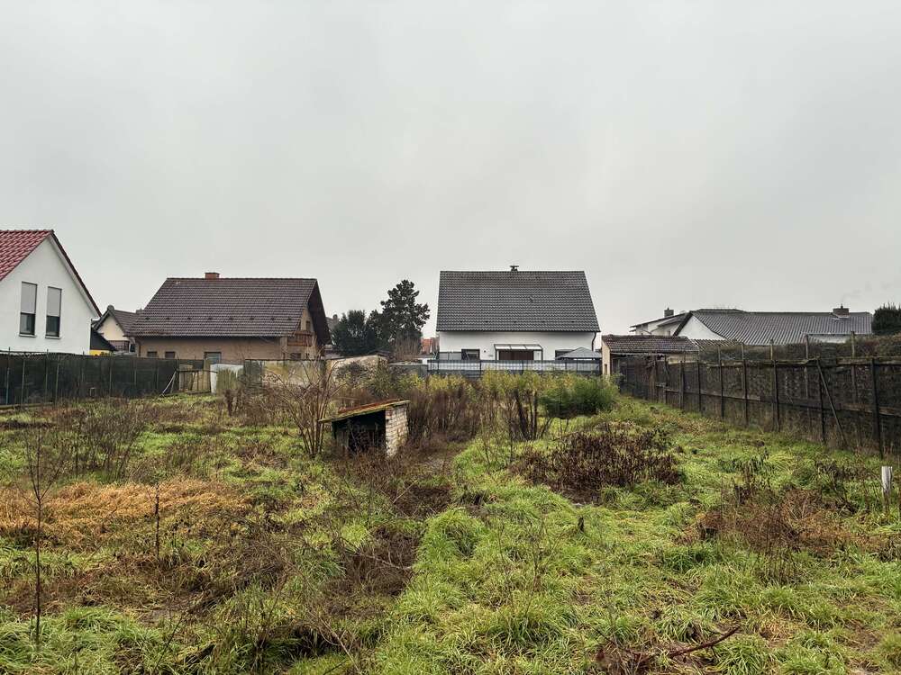 Thumbnail-Haus zum Kaufen in Maxdorf 562.500,00 € 153 m²