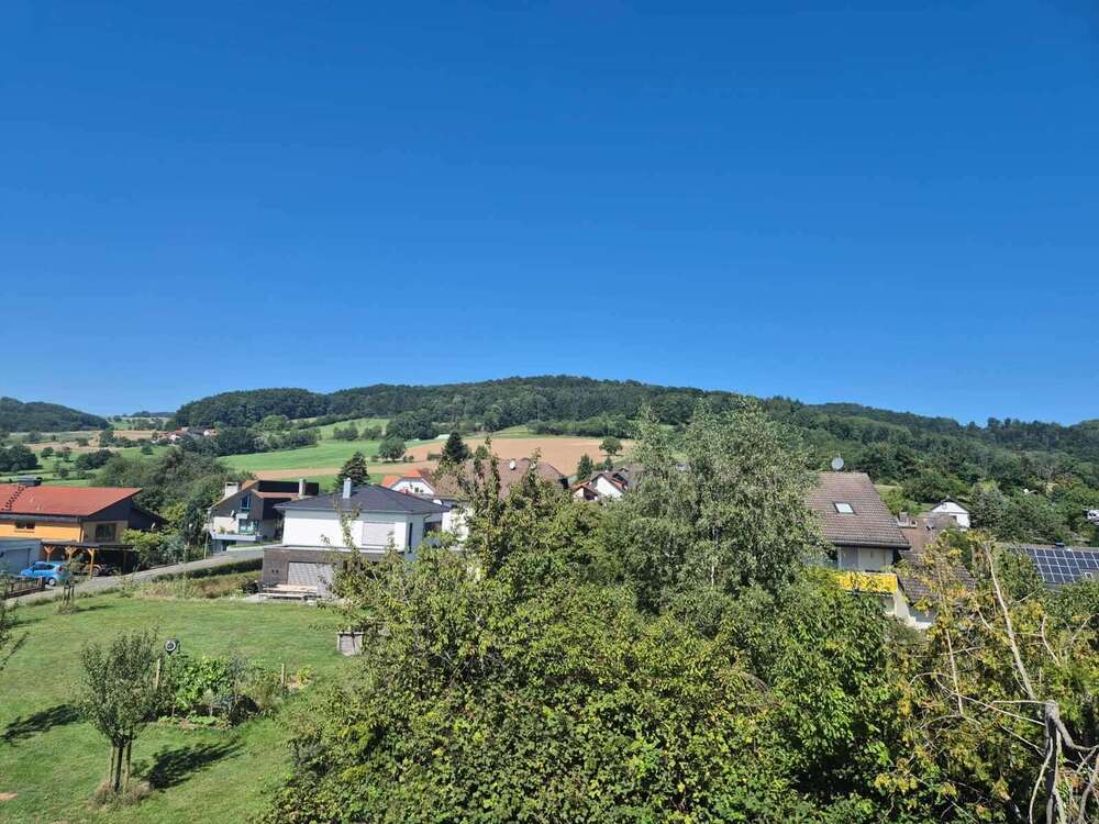 Thumbnail-Haus zum Kaufen in Reichelsheim Klein Gumpen 849.000,00 € 505 m²