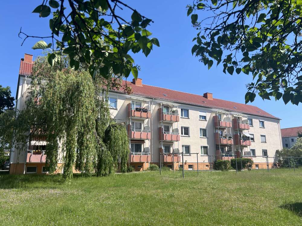 Thumbnail-Wohnung zum Mieten in Lutherstadt Wittenberg 315,00 € 61 m²