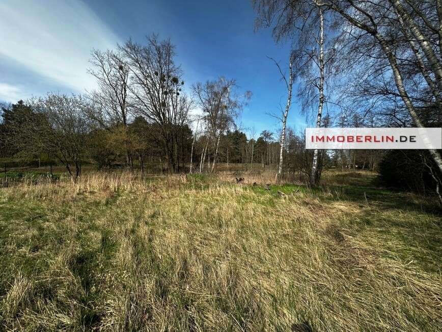 Thumbnail-Grundstück zu verkaufen in Trebbin 99.000,00 € 5800 m²