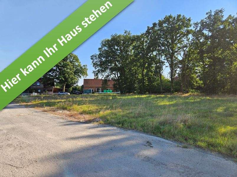 Thumbnail-Haus zum Kaufen in Hoyerhagen 328.200,00 € 130 m²