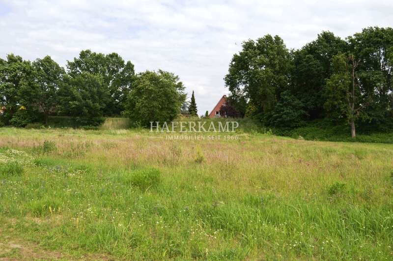 Thumbnail-Grundstück zu verkaufen in Drage 248.000,00 € 1200 m²