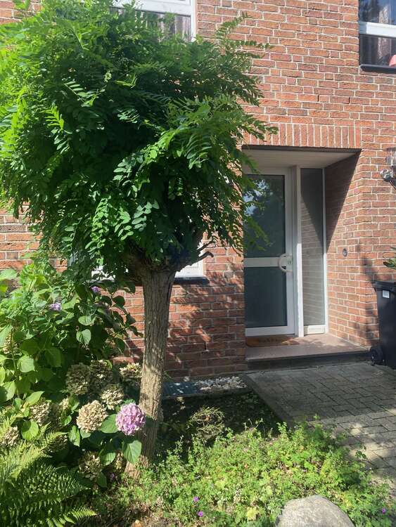 Thumbnail-Haus zum Kaufen in Mönchengladbach 366.000,00 € 110 m²