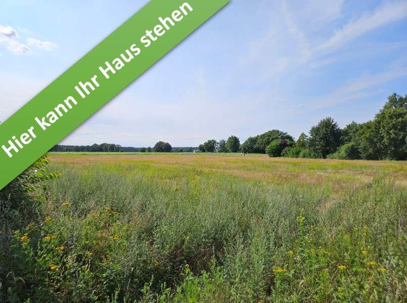 Thumbnail-Haus zum Kaufen in Fuhrberg 405.750,00 € 142 m²
