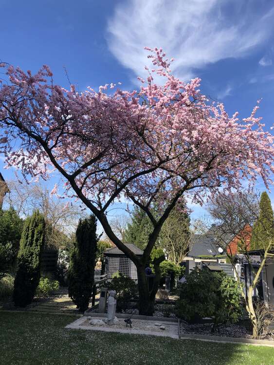 Thumbnail-Haus zum Kaufen in Marl 899.000,00 € 390 m²