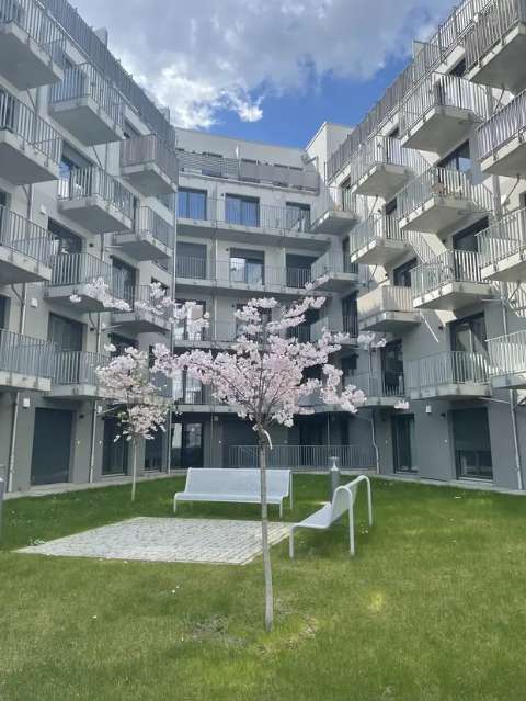 Thumbnail-Wohnung zum Mieten in Magdeburg 353,00 € 25.19 m²