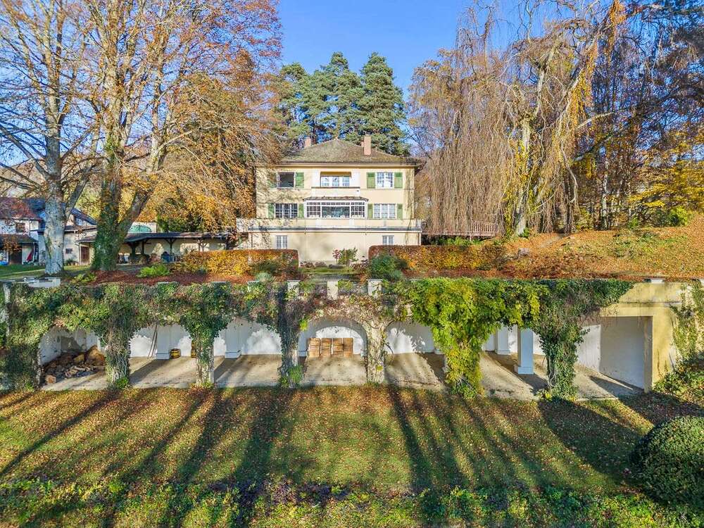Thumbnail-Haus zum Kaufen in Heiligenberg 3.200.000,00 € 450 m²