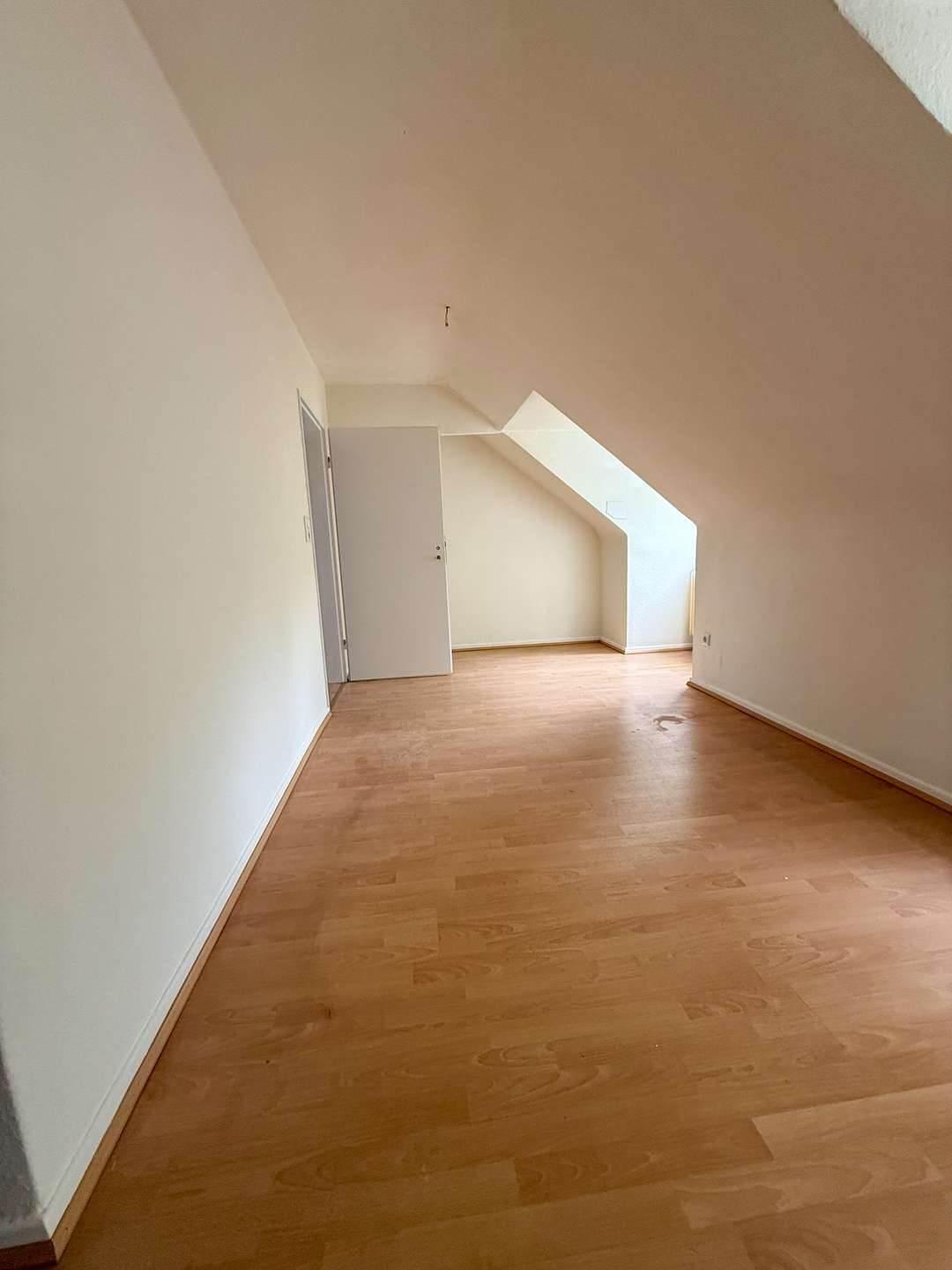 Thumbnail-Wohnung zum Mieten in Kassel 550,00 € 55 m²