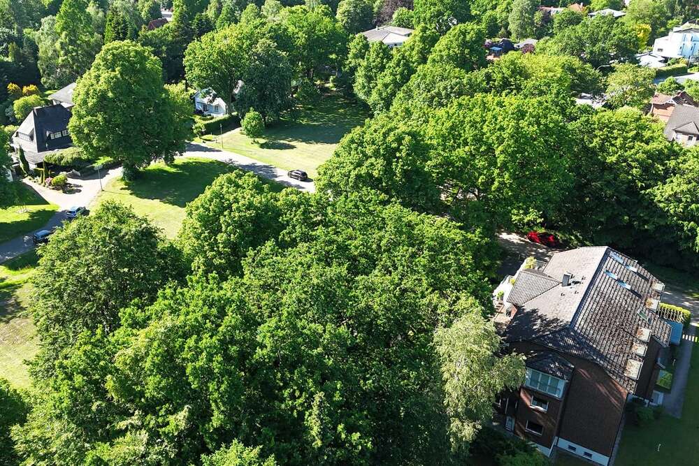Thumbnail-Wohnung zum Kaufen in Hamburg 595.000,00 € 113 m²