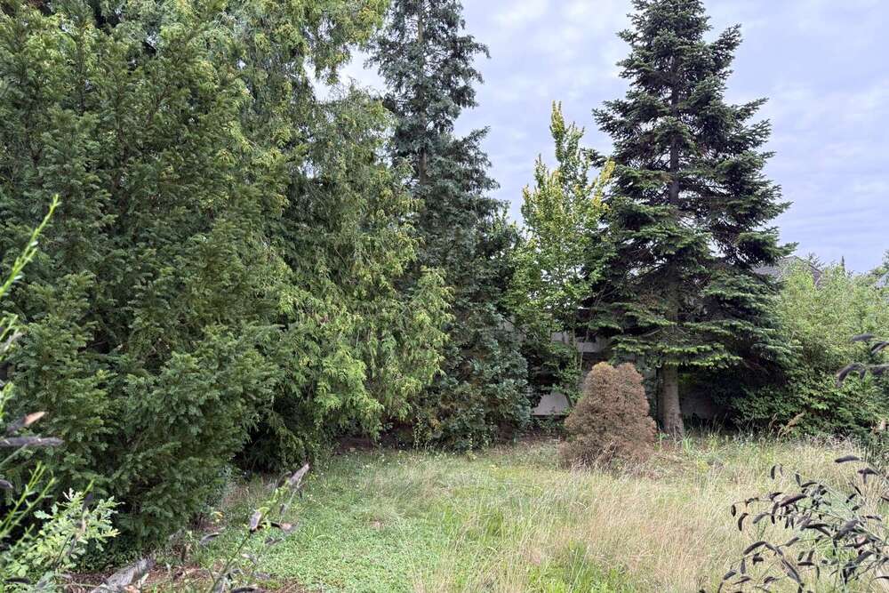 Thumbnail-Grundstück zu verkaufen in Oranienburg 295.000,00 € 904 m²