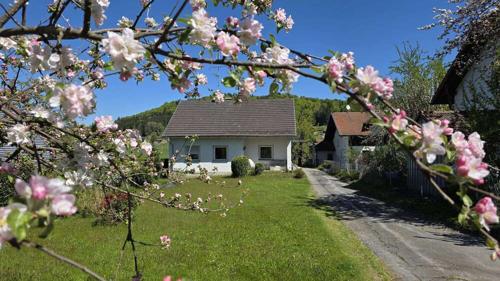 Thumbnail-Haus zum Kaufen in Freyung 225.000,00 € 100 m²