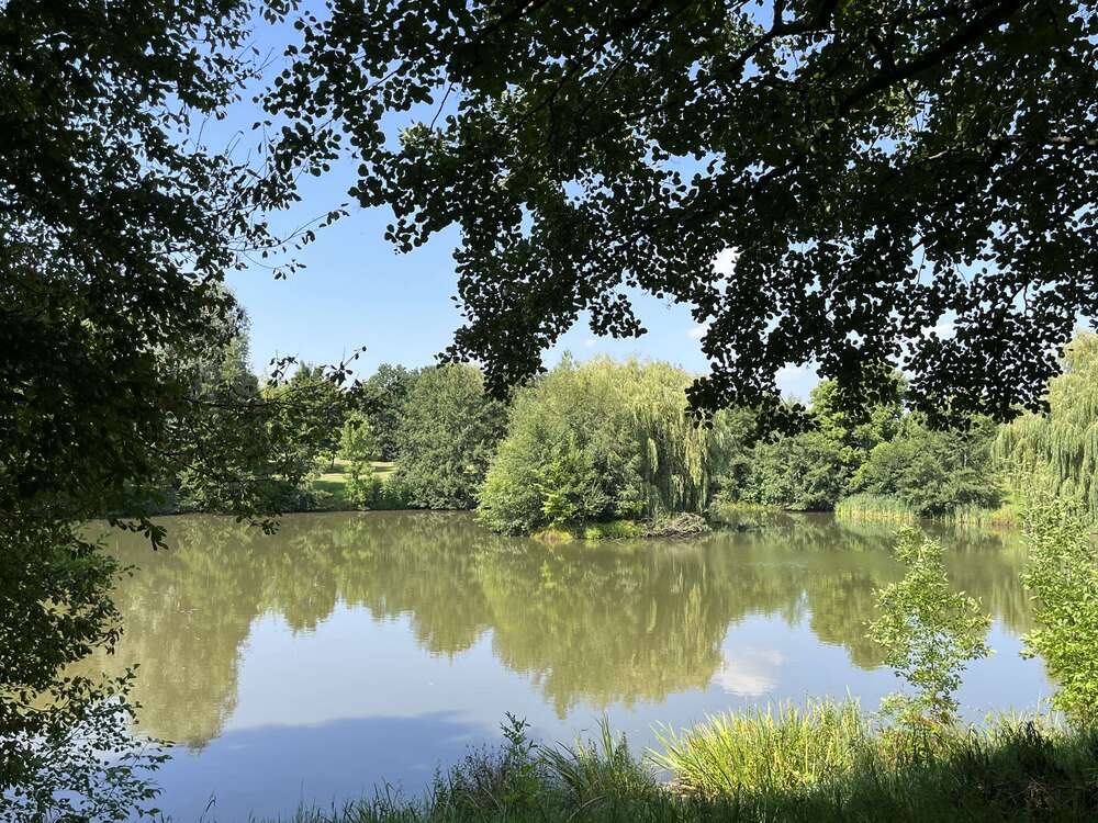 Thumbnail-Wohnung zum Mieten in Zwickau 229,00 € 60 m²