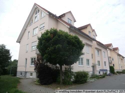 Thumbnail-Wohnung zum Mieten in Riesa 295,00 € 49 m²