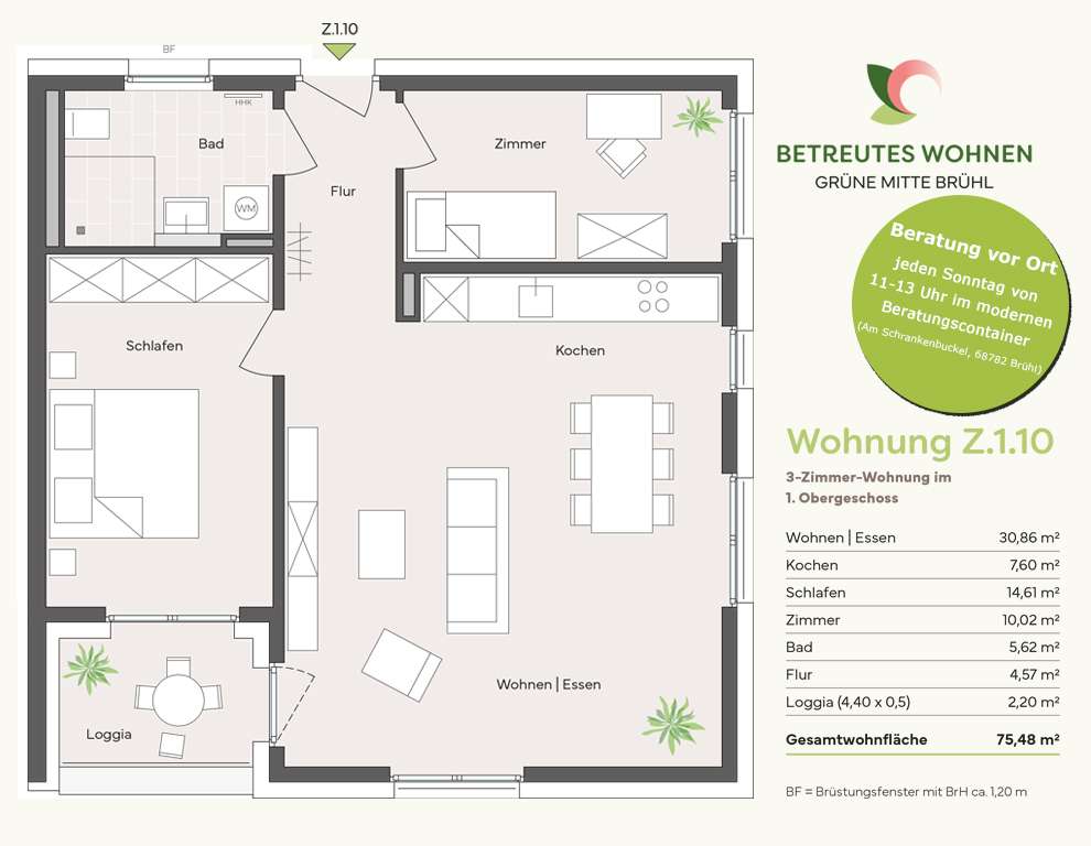 Thumbnail-Wohnung zum Kaufen in Brühl 391.500,00 € 75.48 m²