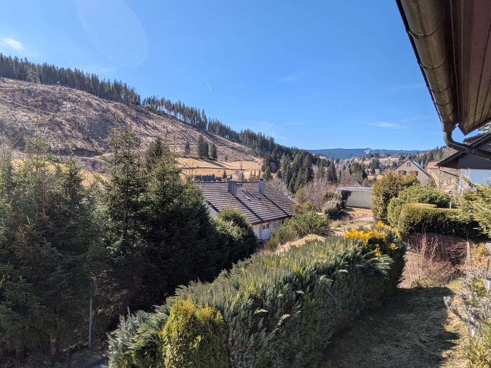 Thumbnail-Wohnung zum Kaufen in Feldberg 240.000,00 € 164 m²