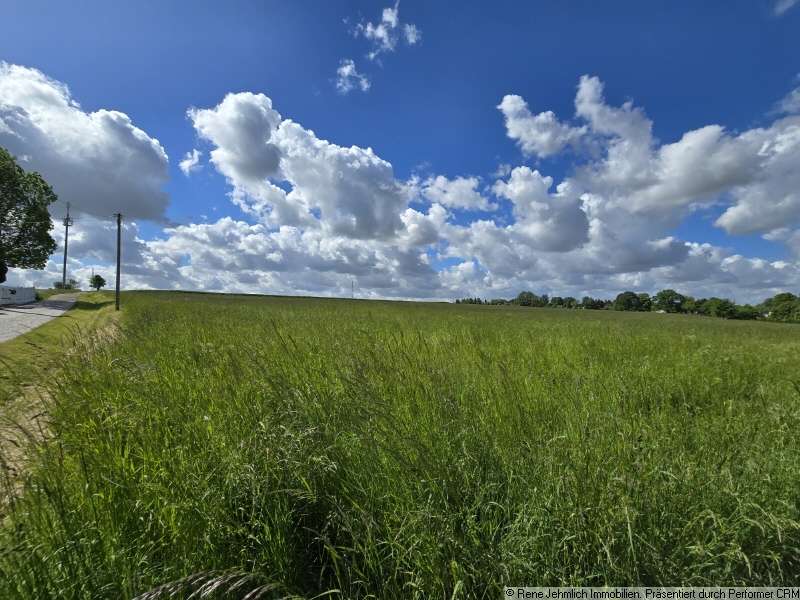 Thumbnail-Grundstück zu verkaufen in Taura 100.000,00 € 1000 m²