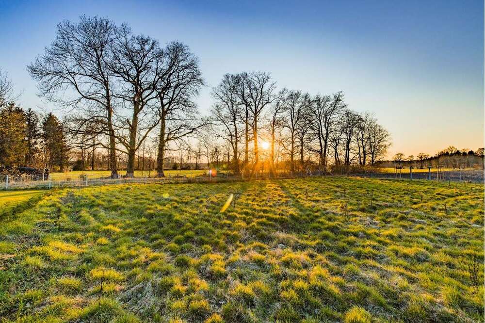 Thumbnail-Grundstück zu verkaufen in Walsrode 110.000,00 € 971 m²