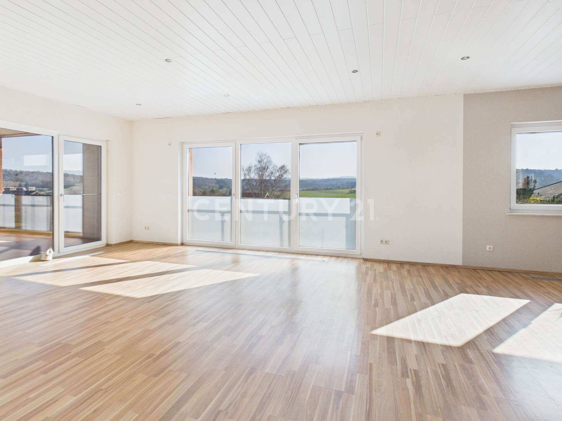 Thumbnail-Haus zum Kaufen in Ober-Ramstadt 680.000,00 € 364 m²