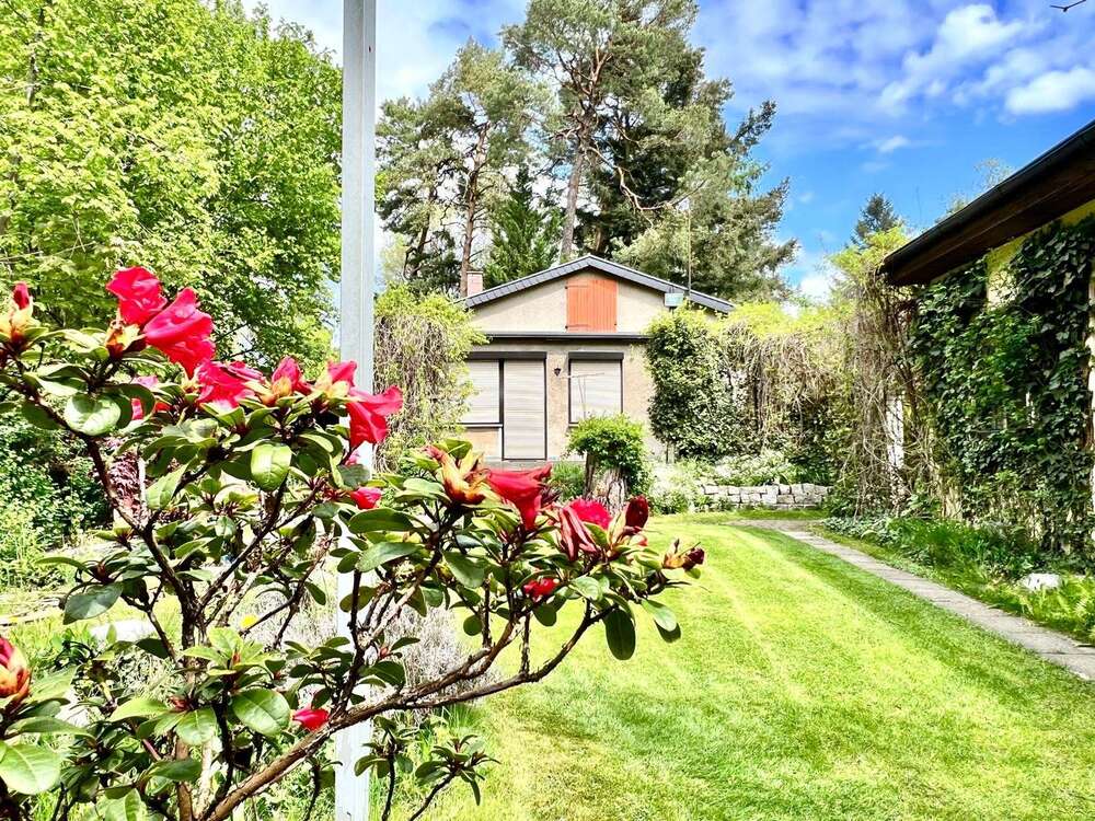 Thumbnail-Haus zum Kaufen in Oranienburg 449.000,00 € 79.82 m²