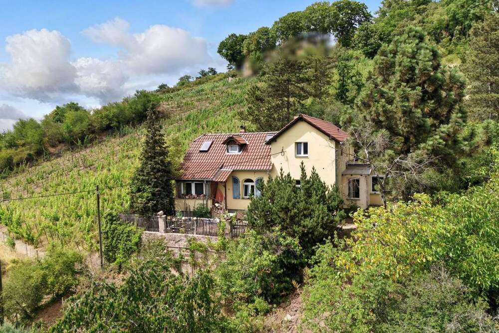 Thumbnail-Haus zum Kaufen in Radebeul 495.000,00 € 140 m²