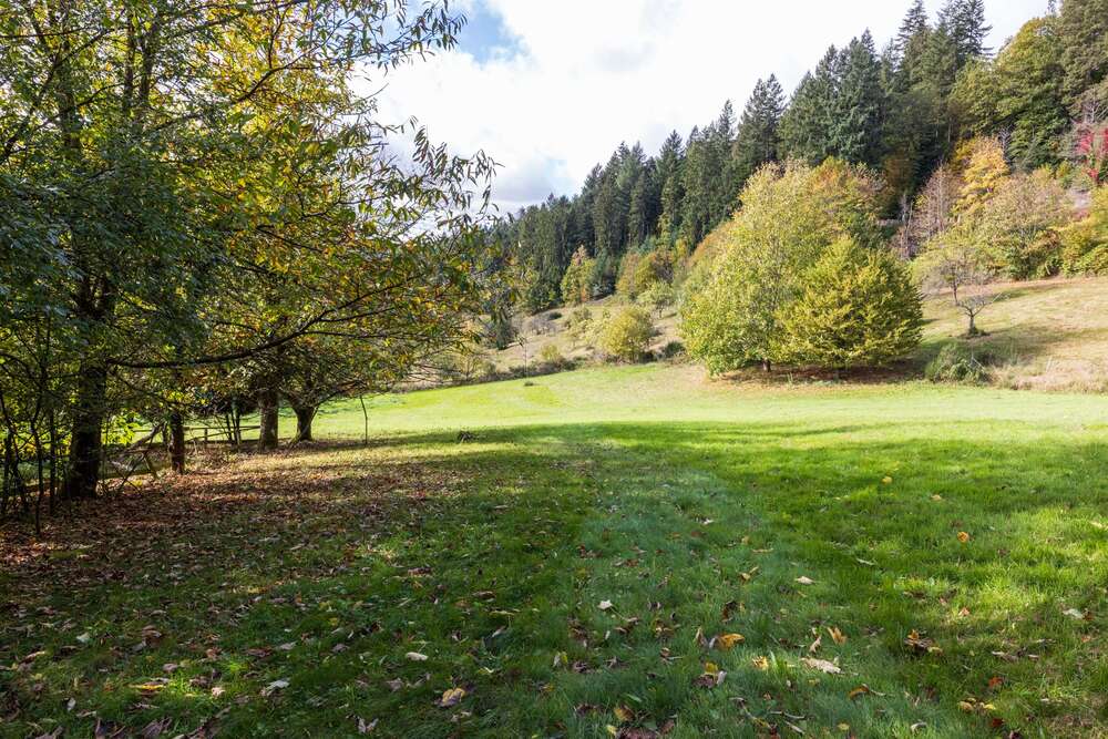 Thumbnail-Haus zum Kaufen in Baden-Baden 1.190.000,00 € 600 m²