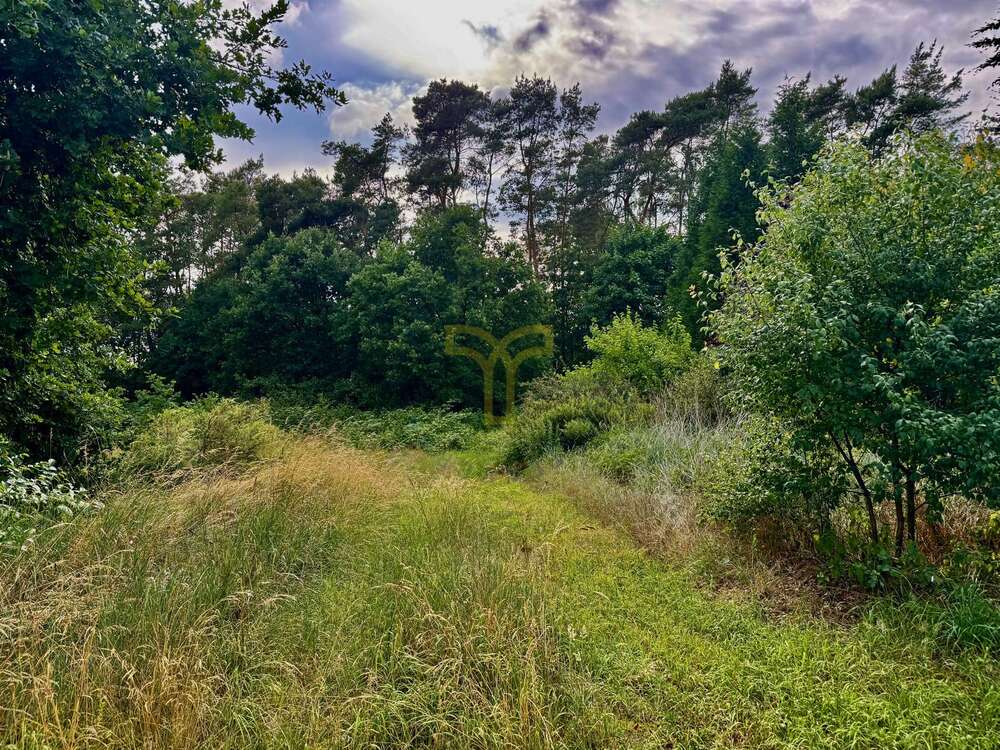 Thumbnail-Grundstück zu verkaufen in Langlingen Hohnebostel 188.500,00 € 1885 m²