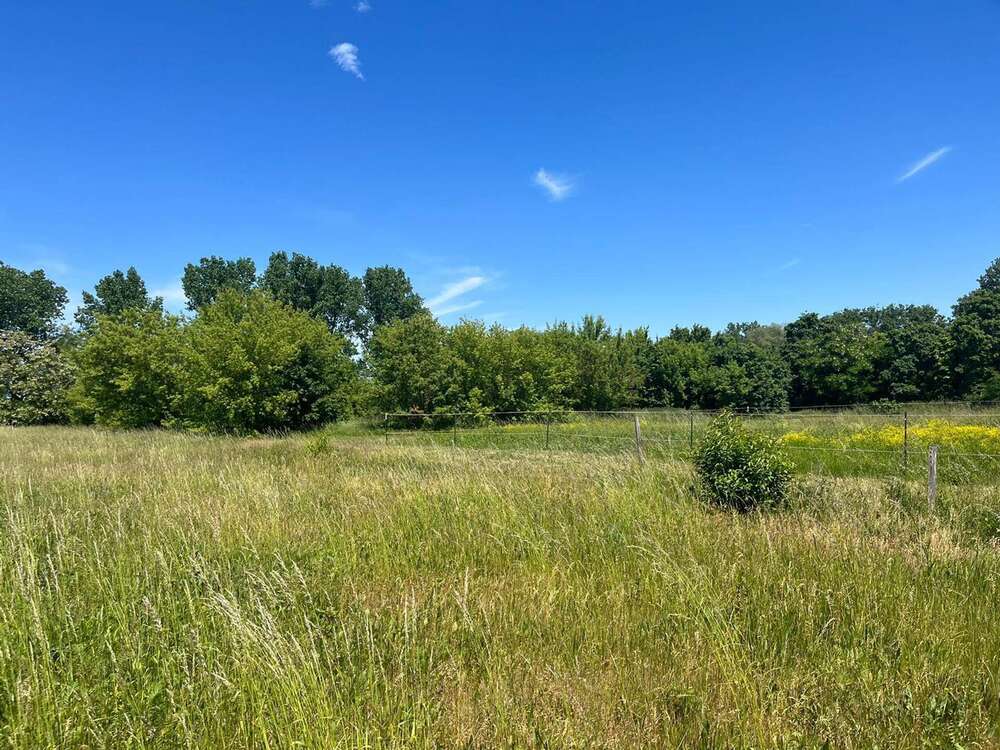 Thumbnail-Grundstück in Hohenroda 370.000,00 € 9200 m²