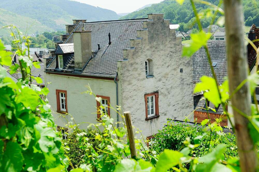 Thumbnail-Haus zum Kaufen in Zell 590.000,00 € 183 m²