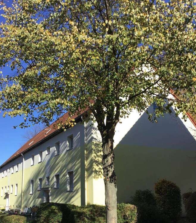 Thumbnail-Wohnung zum Mieten in Bönen 329,00 € 40.93 m²