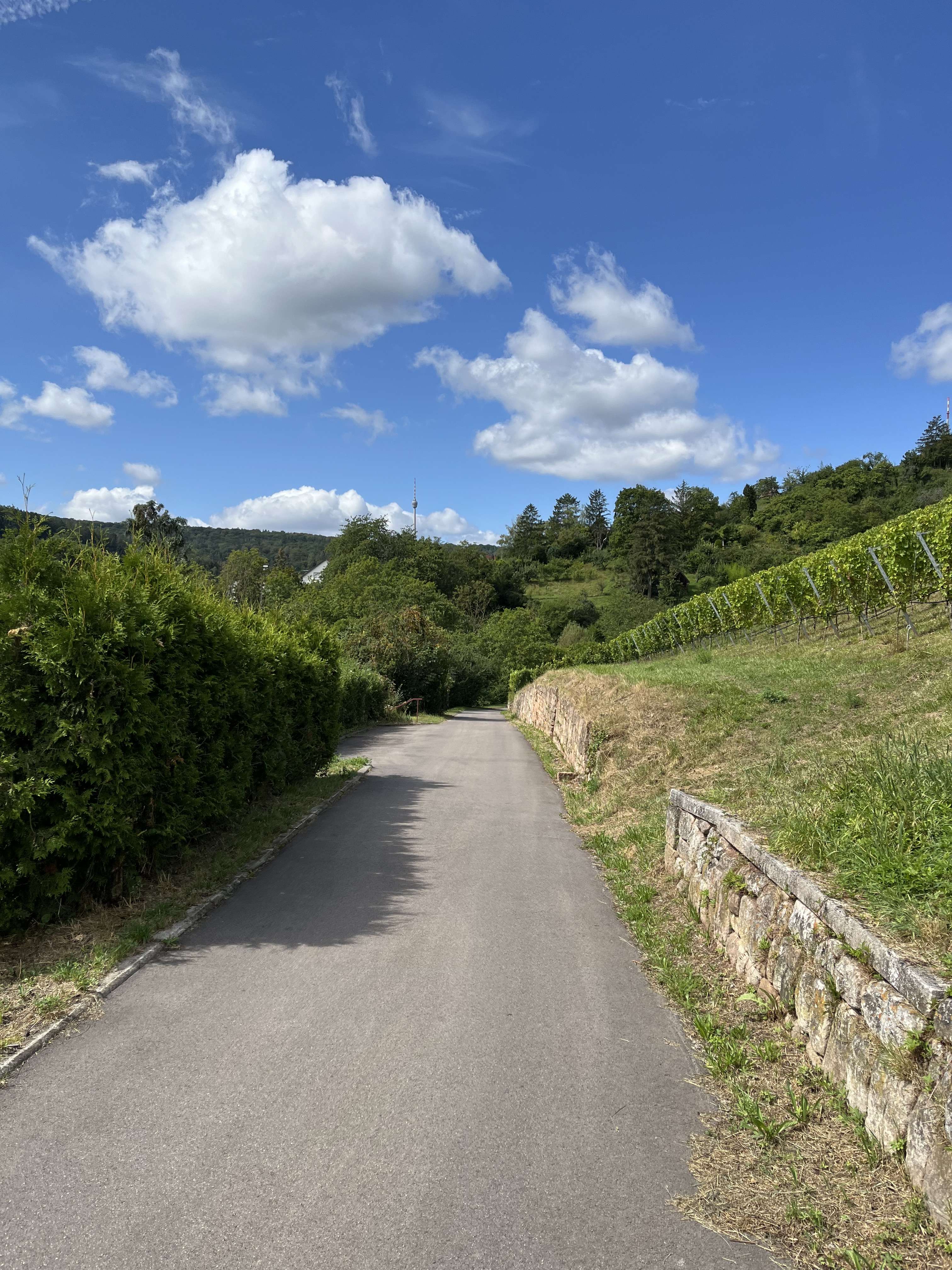 Thumbnail-Haus zum Kaufen in Stuttgart ( Rohracker ) 829.000,00 € 204 m²