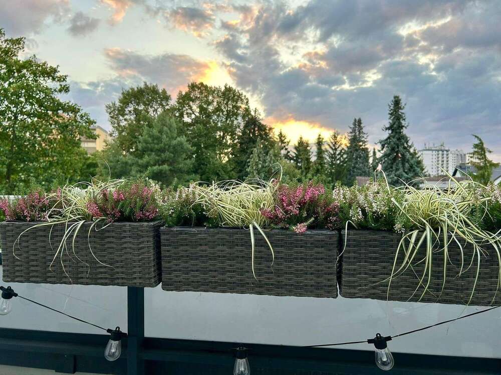 Thumbnail-Wohnung zum Mieten in Maintal 1.620,00 € 106 m²