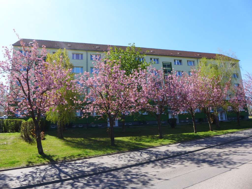 Thumbnail-Wohnung zum Mieten in Limbach-Oberfrohna 325,00 € 56.77 m²